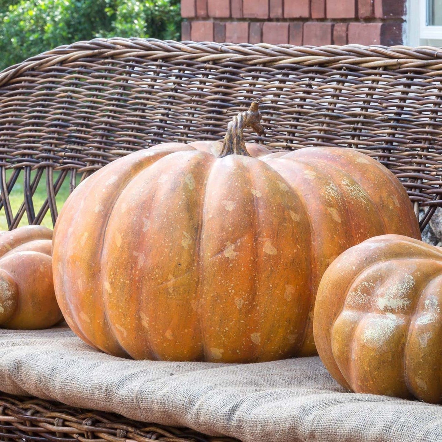 Park Hill Collection Rustic Modern Big Papa Pumpkin