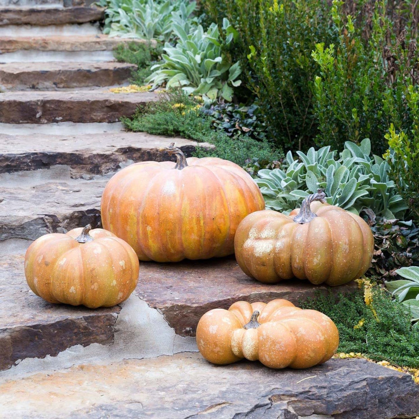 Park Hill Collection Rustic Modern Big Papa Pumpkin