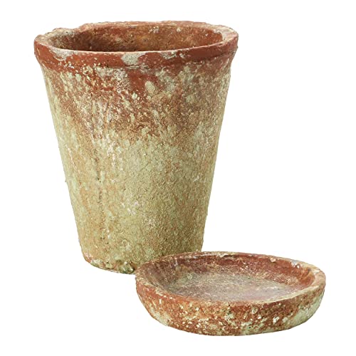 Creative Co-Op Cement Saucer, Distressed Terra-Cotta Finish, Set of 2 (Holds 5" Planter Pot, Brown, 2 Count